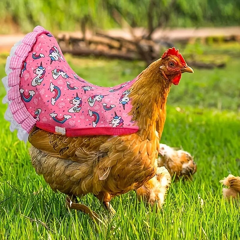 Chicken Clothes Chicken Saddle Protective Wings Chicken Vest Color 5-piece Set4