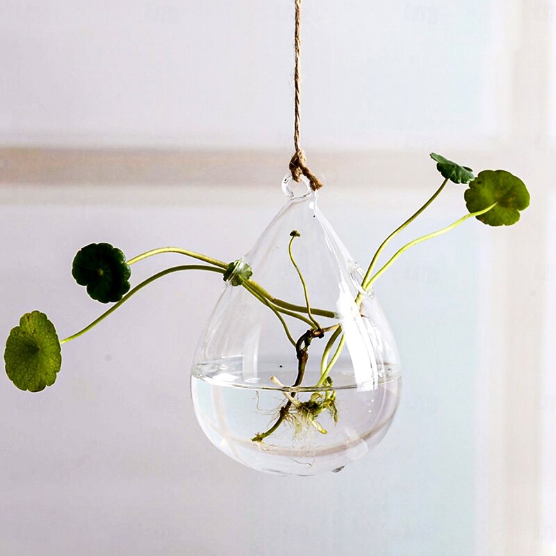 Teardrop Hanging Glass Vase – Transparent Hydroponic Planter for Indoor Greenery, Succulents & Pothos, Decorative Glass Terrarium for Garden, Balcony, Porch & Home Decor4