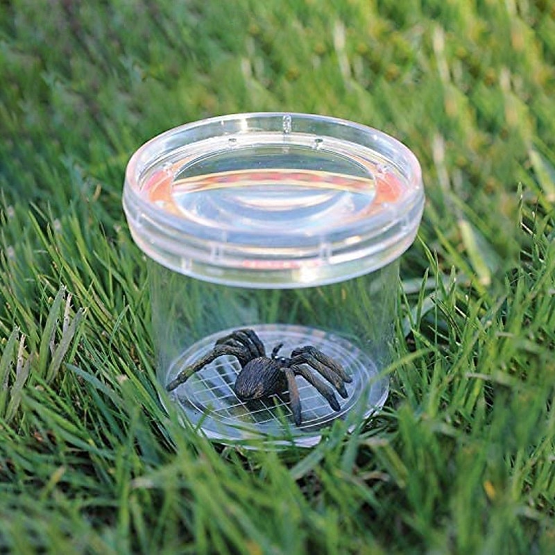 12 Pack Insect Magnifying Glass Observer Jar Sample Collection Exploration Natural Science Toy Plastic Insect Box2