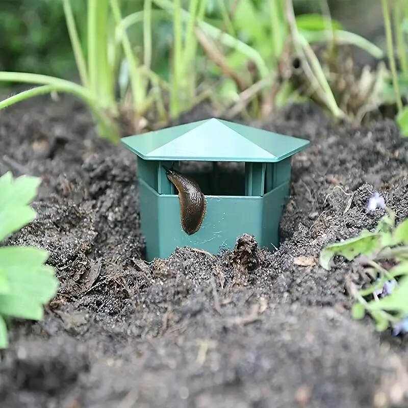 Snail Trap - Durable Reusable Plastic Trap for Slugs and Garden Pests Perfect for Gardens and Farms
