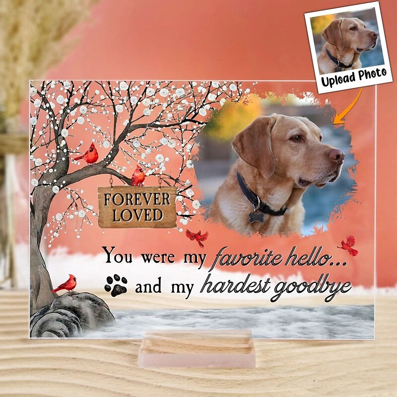 Personalized Memoial Acrylic Photo Plaque Custom Pet Photo Sympathy Gifts For Loss Of Loved Ones Dog Memorial Decor for Home Bedroom Decor Tribute to Beloved Pup You Were My Favorite Hello And My Ha