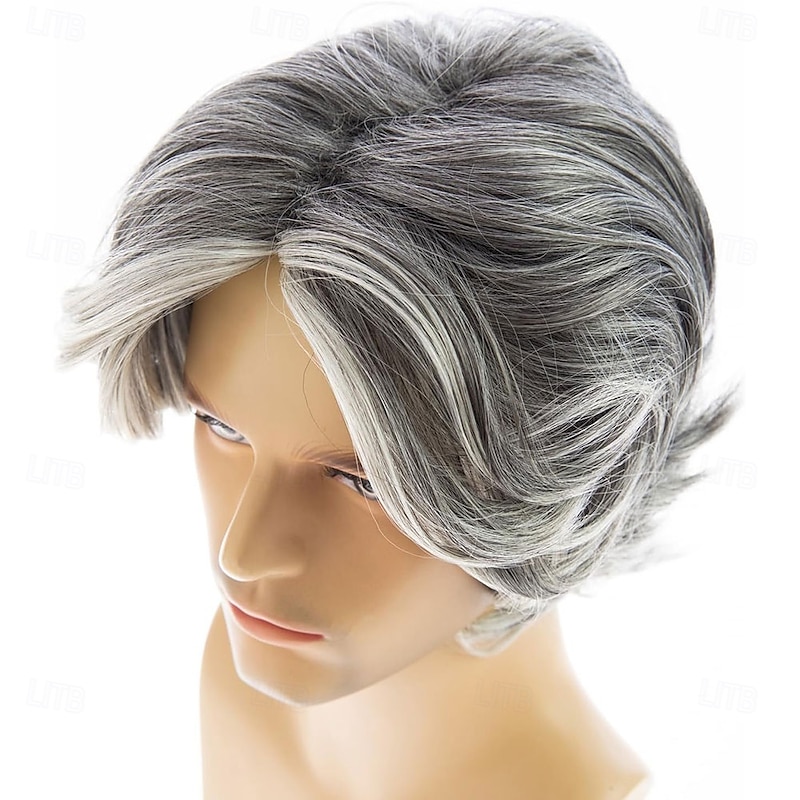 Mens Wig Short Grey Layered Synthetic Halloween Cosplay Costume Wig for Males4
