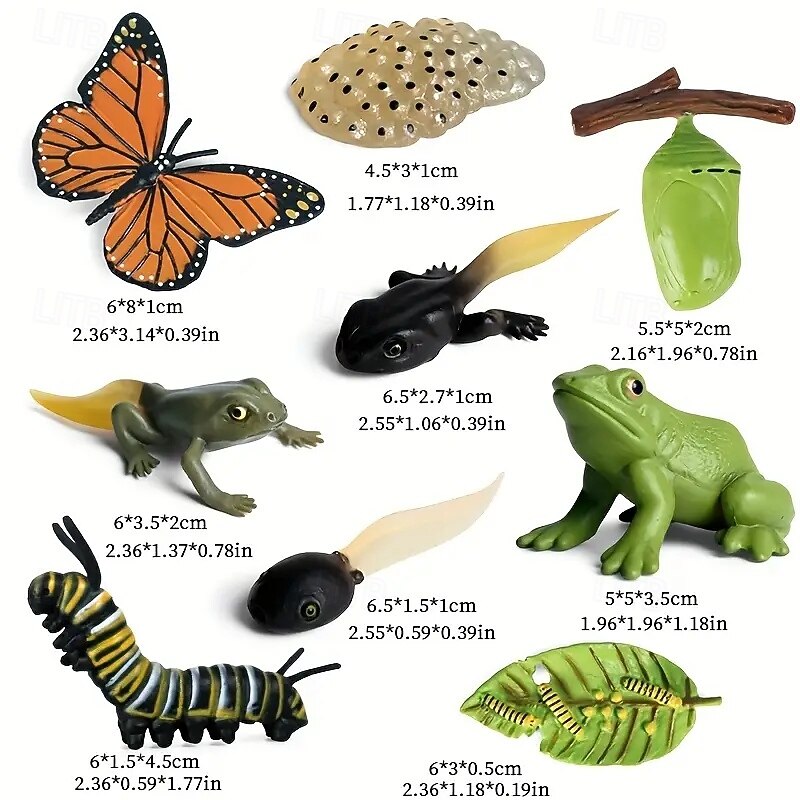 9pcs Life Cycle Figurines Toy Set of Butterflies and Frogs Butterflies Educational School Project