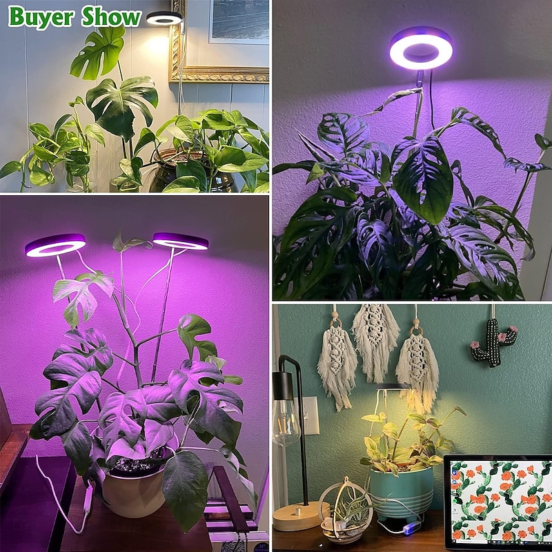 Grow Light Full Spectrum LED Plant Light for Indoor Plants Growing Lamp 10 Dimmable Brightness Auto Timer Black Stand Height Adjustable Halo Light for Succulents Herbs Foliage in Home2
