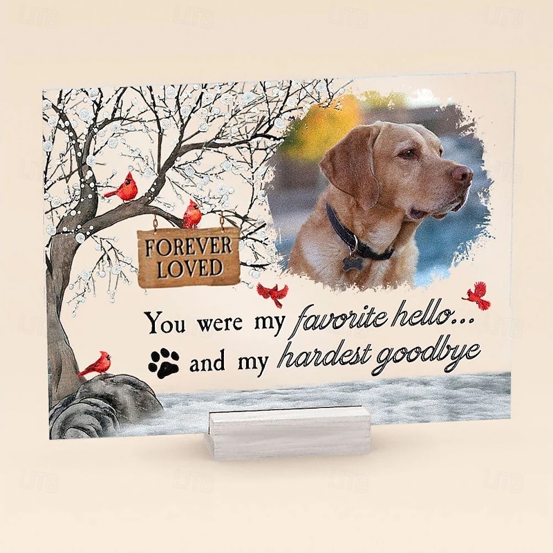 Personalized Memoial Acrylic Photo Plaque Custom Pet Photo Sympathy Gifts For Loss Of Loved Ones Dog Memorial Decor for Home Bedroom Decor Tribute to Beloved Pup You Were My Favorite Hello And My Ha4