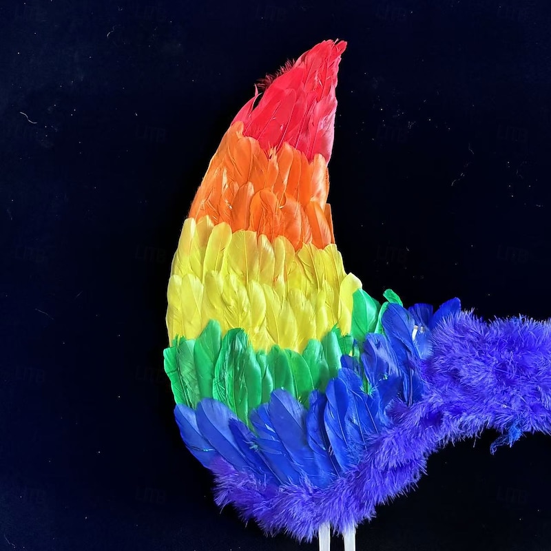 Drag Queen Pride Rainbow Feather Wings Rainbow Angel Wings Adults' Unisex Casual Pride Parade Pride Month Halloween Easy Carnival Costume4