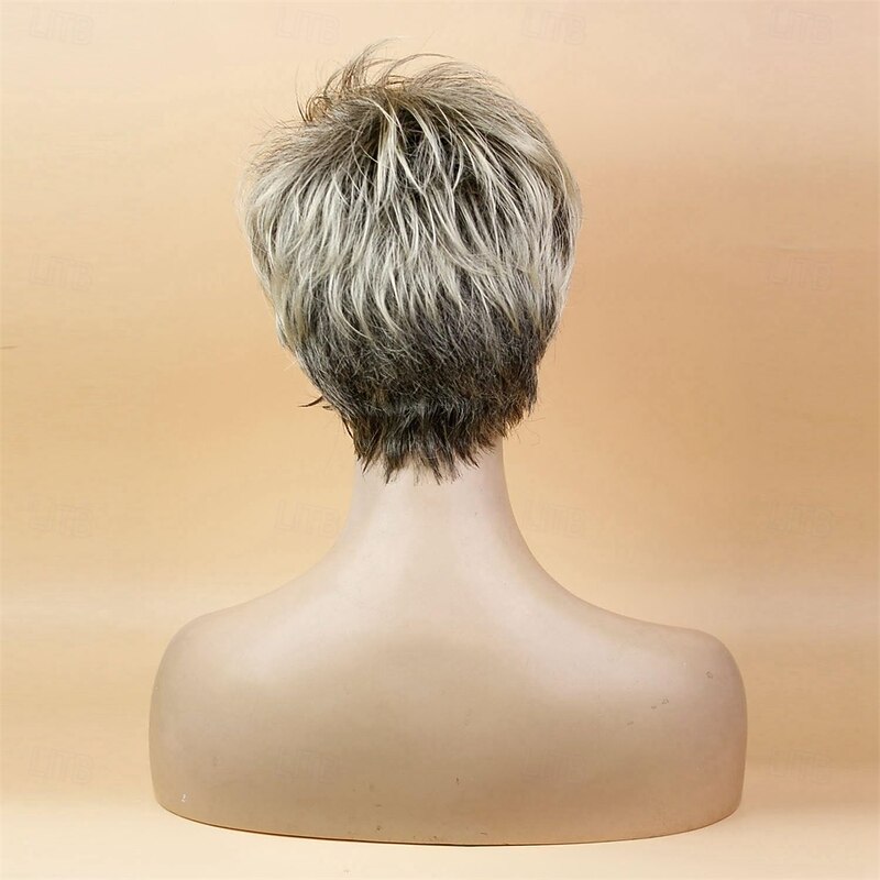 Fouriding Women's Sexy Short Grey Wig Bob Ladies Synthetic Heat Resistant Halloween Cospaly Costume Ladies party Fancy Dress Hair Wigs Hairpiece for Women Lady2