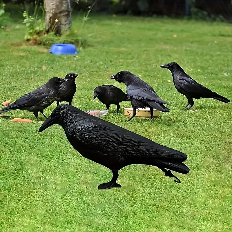 1 Simulated Black Crow Statue 3D Crow Simulated Bird Scary Mouse Insect Repellent Outdoor Garden Decoration for Pigeons to Drive Crows2