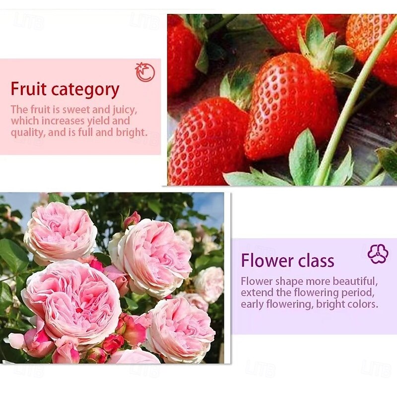 Growing Light Bulb E27 LED Plant Light Cup with 80 LED 110/220 V Supplementary Light for Succulent Plants Cultivation and Seedling Raising3