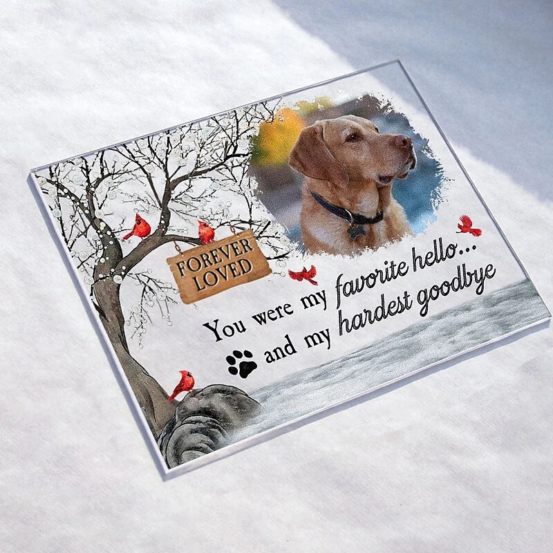 Personalized Memoial Acrylic Photo Plaque Custom Pet Photo Sympathy Gifts For Loss Of Loved Ones Dog Memorial Decor for Home Bedroom Decor Tribute to Beloved Pup You Were My Favorite Hello And My Ha3