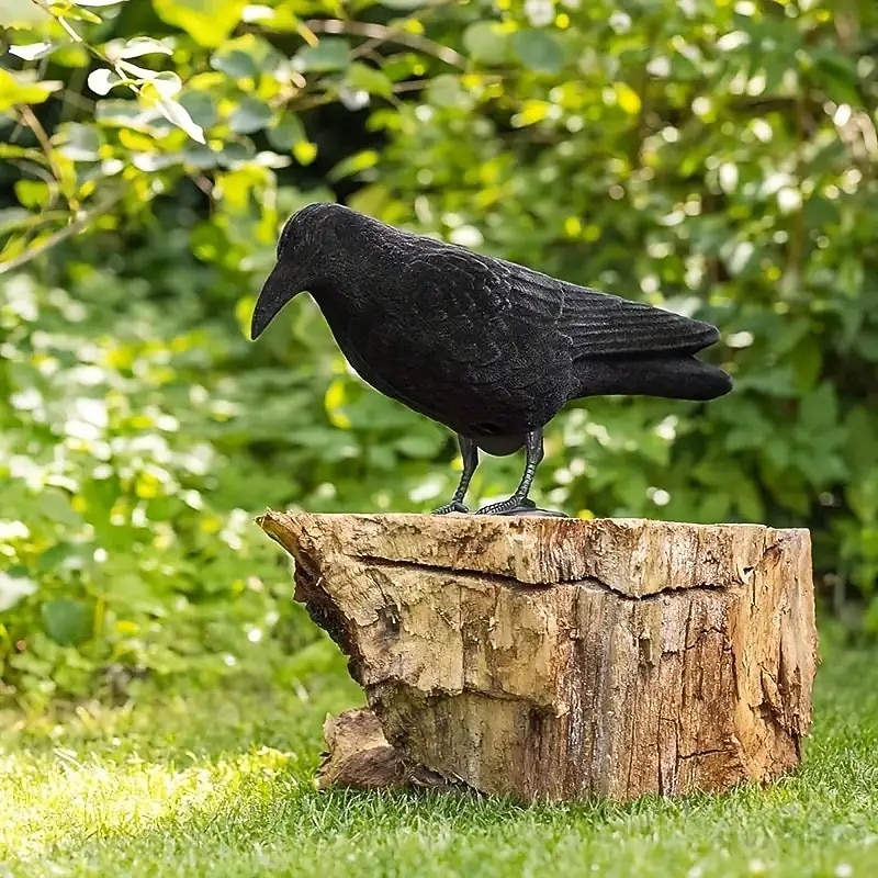 1 Simulated Black Crow Statue 3D Crow Simulated Bird Scary Mouse Insect Repellent Outdoor Garden Decoration for Pigeons to Drive Crows