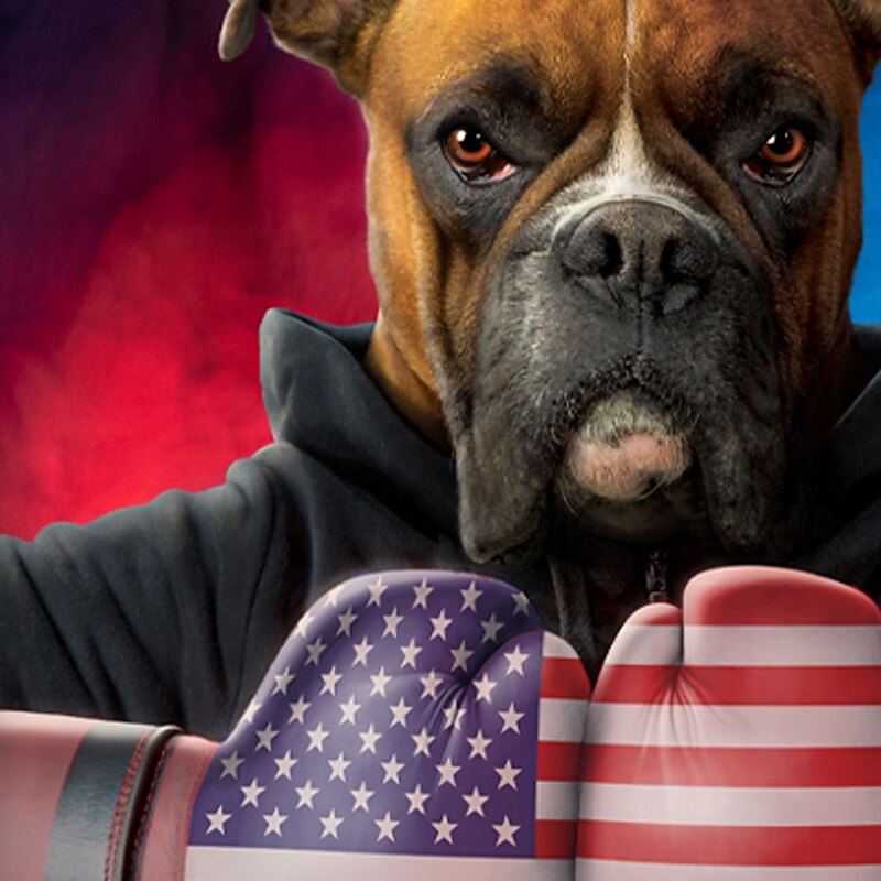 Tough Boxer USA VINCENT HIE Men's 3D T Shirt Short Sleeve T shirt 3D Print Crew Neck Shirt Exaggerated Designer Party Street Casual Blue Summer Spring All Seasons Clothing Apparel3