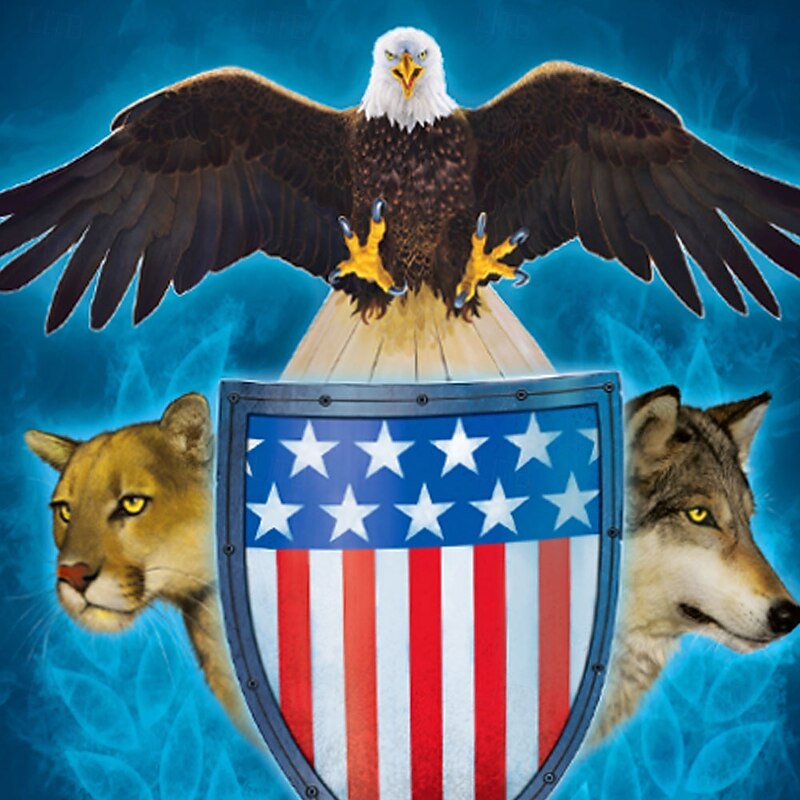 USA Trinity VINCENT HIE Men's USA Flag T Shirt Short Sleeve T shirt 3D Print Crew Neck Shirt Exaggerated Designer Party Street Casual Blue Summer Spring All Seasons Clothing Apparel S M L XL XXL XXXL2