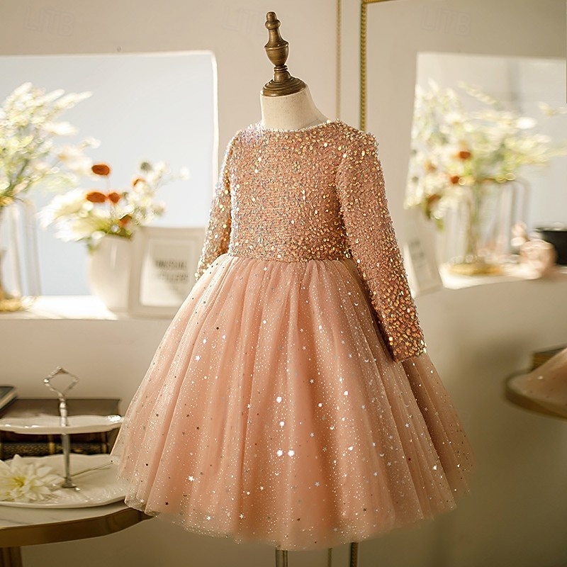 Kids Girls' Dress Party Dress Solid Color Long Sleeve Performance Sequins Mesh Princess Sweet Mesh Mid-Calf Sheath Dress Tulle Dress Summer Spring Fall kids Pink Wine Khaki