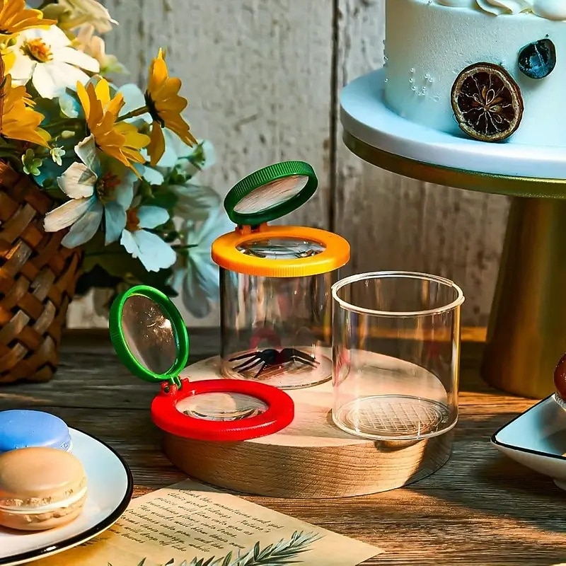 12-Pack Plastic Insect Terrariums with Magnifying Lids - Bulk Bug Containers for Nature Exploration Educational Science Kits for School Classroom4