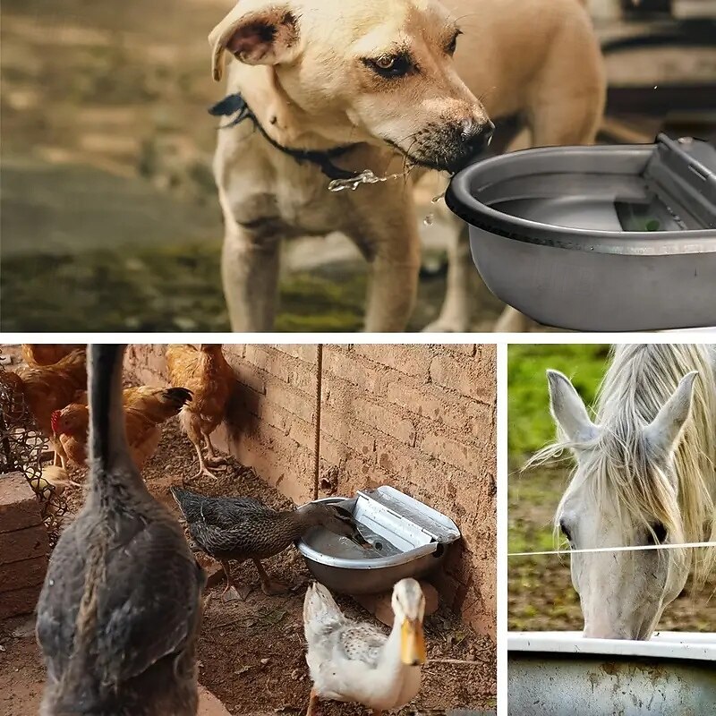 A Set of Automatic Stainless Steel Livestock Drinking Bowls Automatic Water Filling Drinking Basins Are Suitable for Animals of All Sizes With Drains for Easy Cleaning3