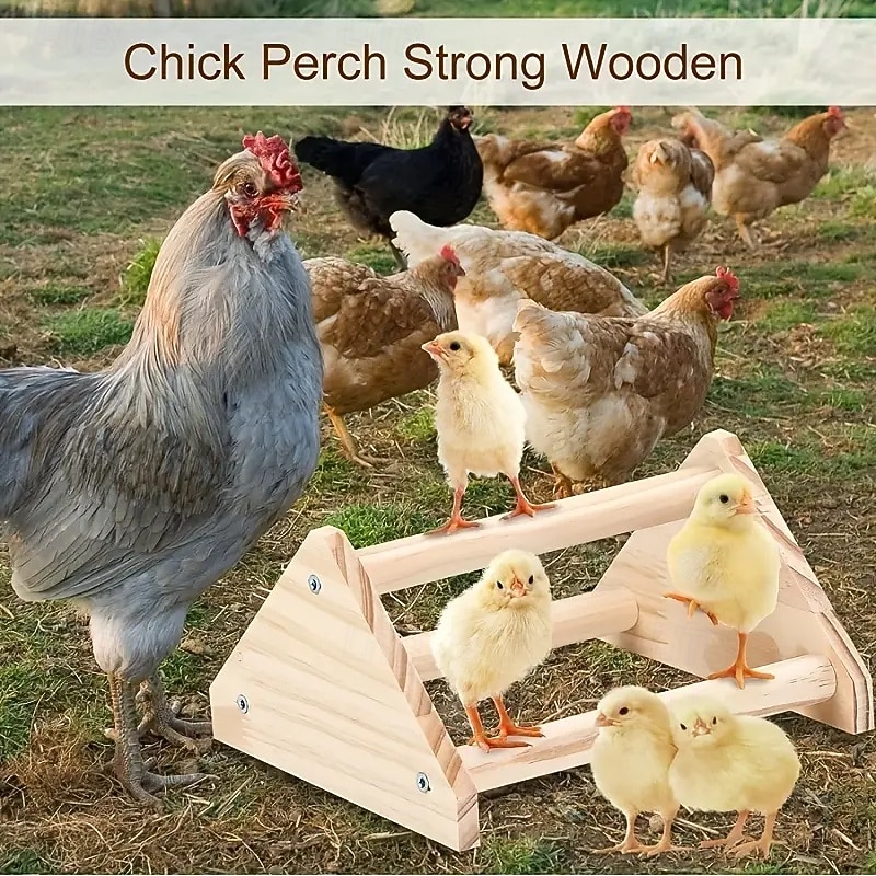 Sturdy Pine Chicken Perches Ideal Roosting Sticks and Jungle Fitness Equipment for Coops and Brooding Cages Chicks and Parrots3
