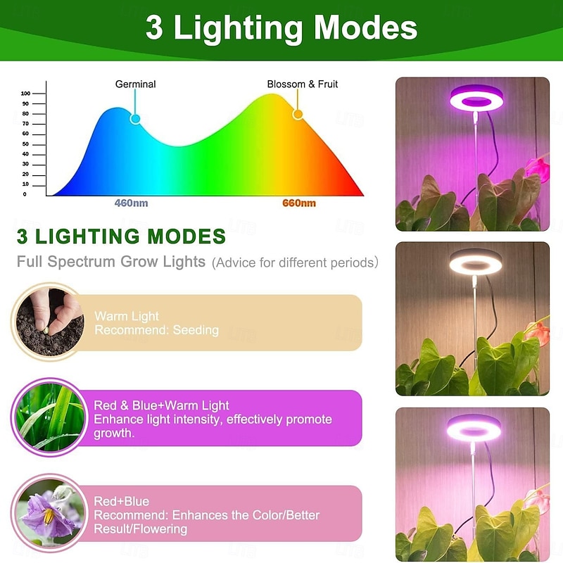 Grow Light Full Spectrum LED Plant Light for Indoor Plants Growing Lamp 10 Dimmable Brightness Auto Timer Black Stand Height Adjustable Halo Light for Succulents Herbs Foliage in Home3