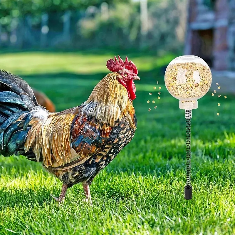 Pack of 2 Plastic Chicken Pecking Toys With Hanging Slow Feeder Poultry Ducks Birds Parrots Cats Squirrels - interactive Animal Toys3