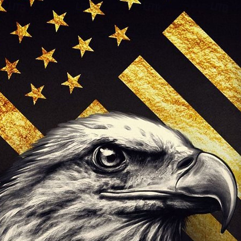 Independence Day Men's American US Flag Eagle Zip Polo Short Sleeve Polo Shirts Turndown Casual Daily Casual Zip Up 3D Print Summer Black2