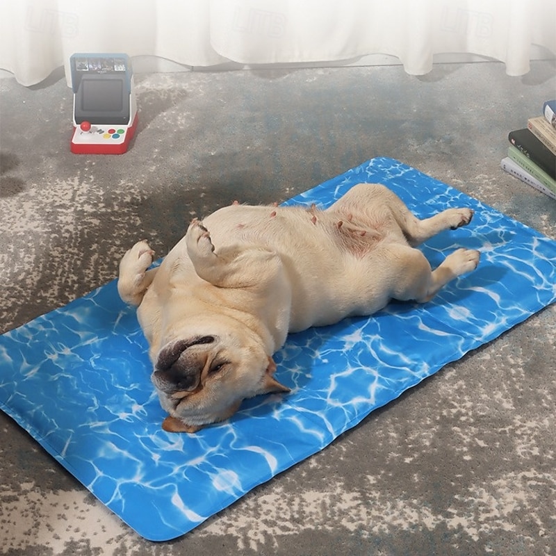 Dog Cat Dog Costume Fashion Party Soft Washable Comfortable Outdoor Casual Daily Cat Dog3