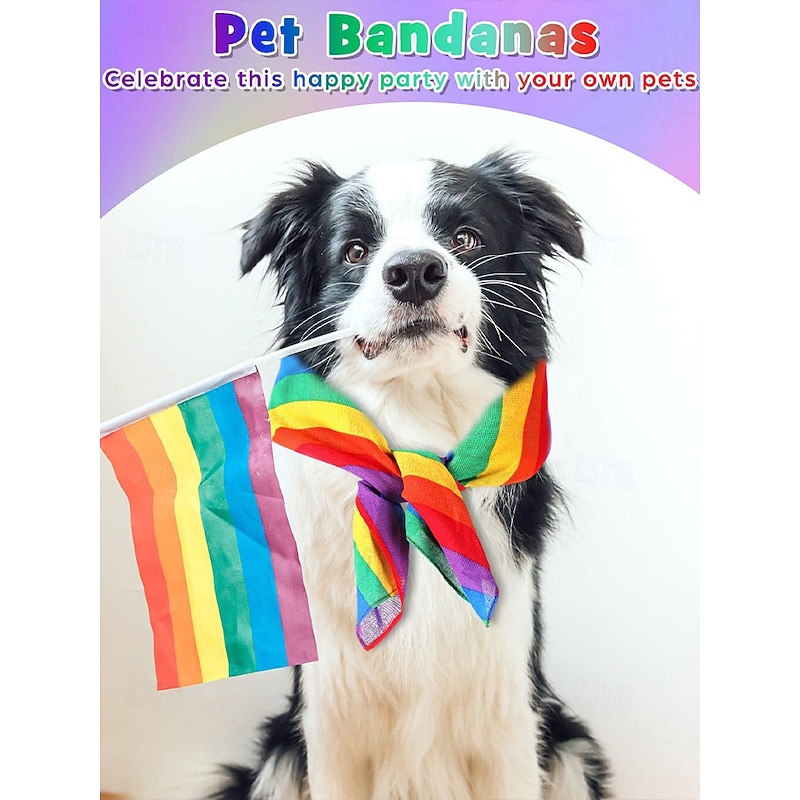 Unisex Paisley Rainbow Pride Scarf - A colorful LGBTQ+ accessory for festivals, Parades and everyday wear4