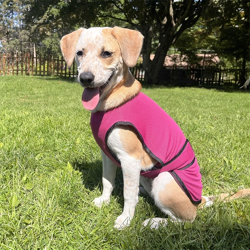 Dog Shirts Quick Dry Soft Stretchy Pet T-Shirts with Reflective Label Tank Top Sleeveless Vest Sun Protection Dog Clothes for Medium Large Dogs3