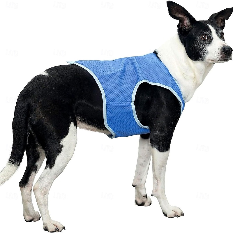 Breathable Dog Cooling Vest with Velcro Harness for Medium Large Small Dogs - Cooling Jacket for Outdoor Hiking Training
