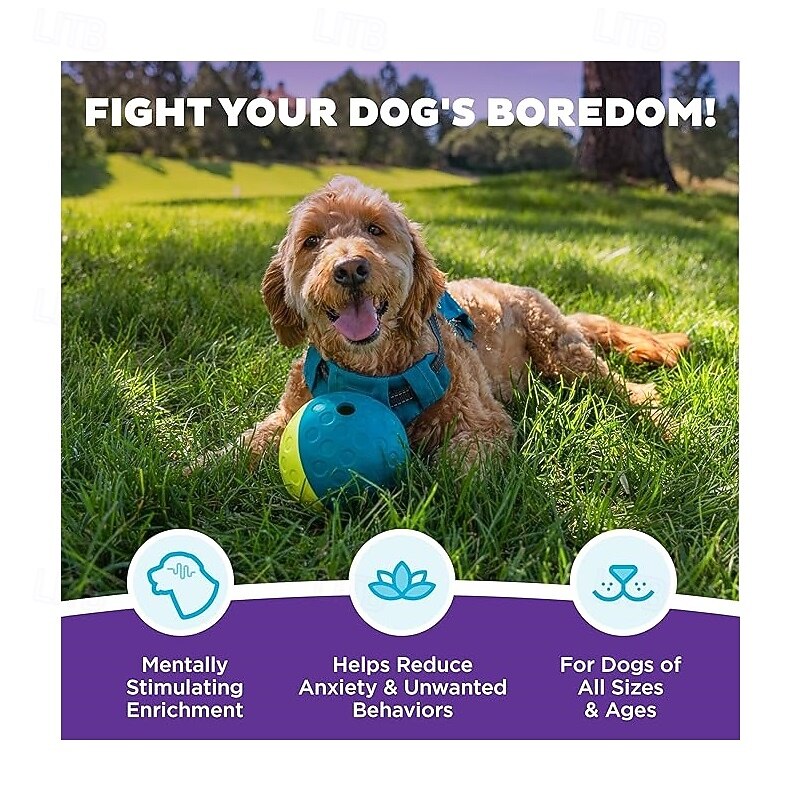 Ball Chew Toy Interactive Toy with Durable Pet Exercise Releasing Pressure Pet Training Teething Rope Toy for Dog Indoor Outdoor Pet Play4
