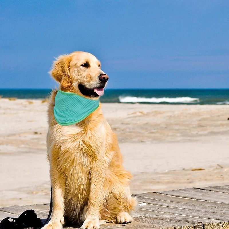 Dog Cooling Bandana - 2 Pack Instant Chill Out Adjustable Pet Scarf Summer Outdoor Ice Collar Cooler Prevent Sunstroke for Small Medium Large Breeds3