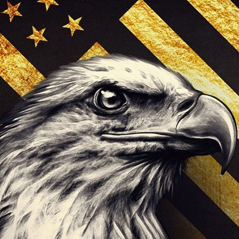 Independence Day Men's American US Flag Eagle Patriotic Shirt Summer Shirt Button Up Shirt Short Sleeve Fashion Casual Outdoor Holiday Summer Spring Turndown 3D Print Collared Shirts Black2