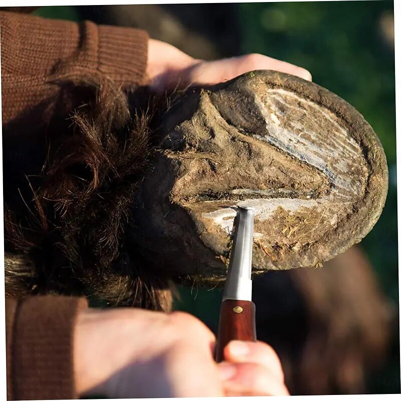 Farrier Tools Set 14 inch Professional Steel Hoof Knife, Goat Hoof Trimmers with Plastic Handle, Reusable Horse Trimming Tools3