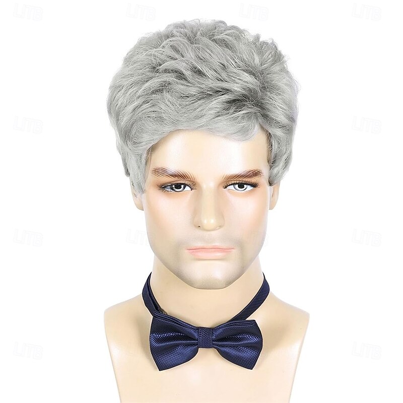 Men's Wig Short Silver Grey Wig Men Natural Layered Synthetic Hair Wigs for Man Male Guy Daily Halloween2