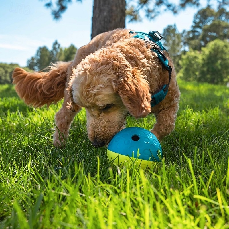 Ball Chew Toy Interactive Toy with Durable Pet Exercise Releasing Pressure Pet Training Teething Rope Toy for Dog Indoor Outdoor Pet Play2