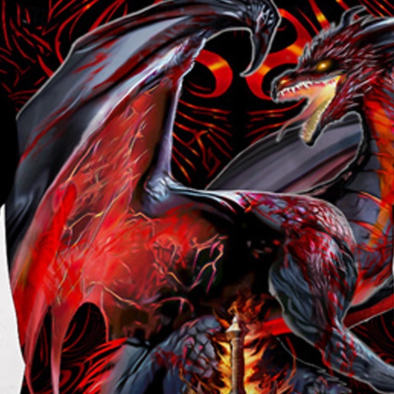 Dragonblade WIDOWBLADE by Ruth Thompson Boys 3D Dragon T shirt Tee Short Sleeve Summer Spring Fashion Basic Kids 4-12 Years Crew Neck Outdoor Casual Daily Regular Fit2