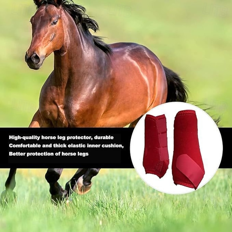 Memory Foam Stable Wraps for Horses Complete Horse Leg Support  Enhanced Comfort & Protection Tekno-Dri Lining Easy Maintenance
