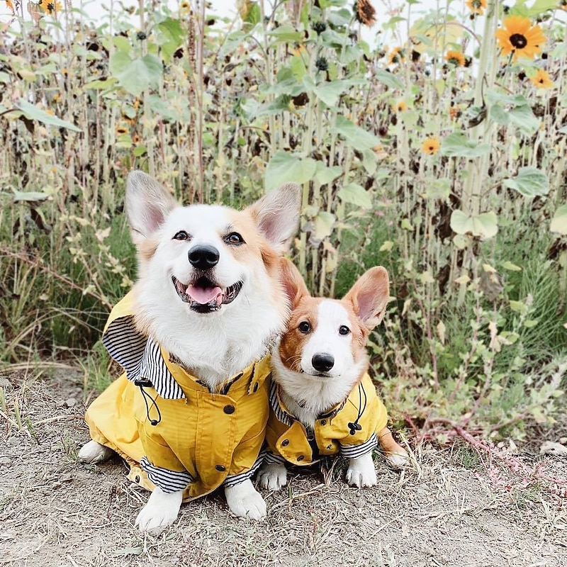 Dog Raincoat Waterproof Rain Poncho with Hoodie Pet Rain Jacket with Leash Hole for Small Medium and Large Dogs4