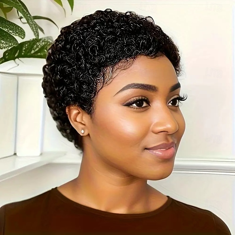 Pixie Wigs for Black Women Human Hair Short Curly Pixie Cut Wigs For Black Women Full Machine Made Wig Glueless Wig None Lace Front Wig Pixie Curly Black