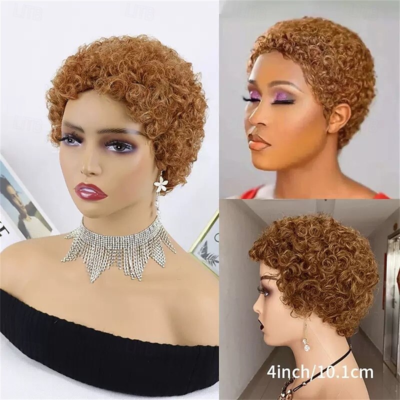Pixie Wigs for Black Women Human Hair Short Curly Pixie Cut Wigs For Black Women Full Machine Made Wig Glueless Wig None Lace Front Wig Pixie Curly Black3