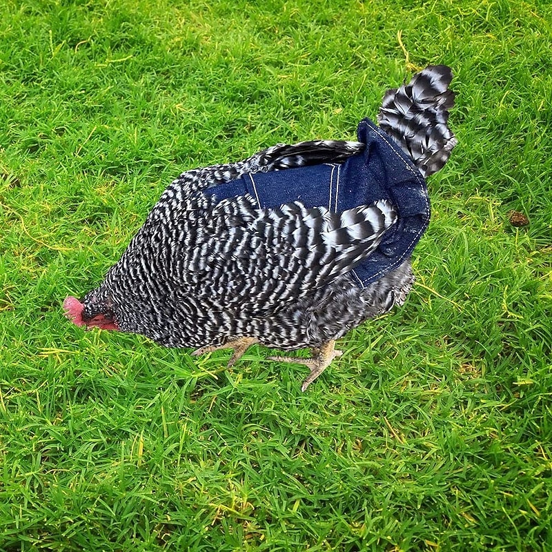 Chicken Saddles,Hen Saddle Sweater Clothes,Beautiful Wing Protector,Birds Protector for Back and Sides, Poultry Accessories for Hens, Blue