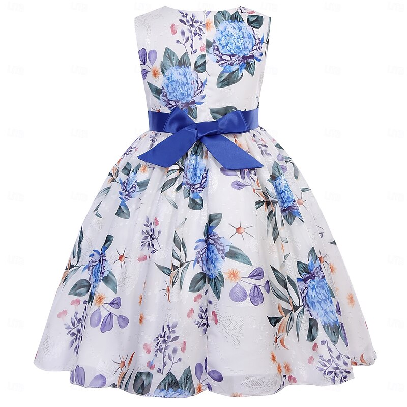 Kids Girls' Party Dress Graphic Sleeveless Short Sleeve Performance Special Occasion Princess Polyester Party Dress Summer Spring kids Pink Blue Purple4