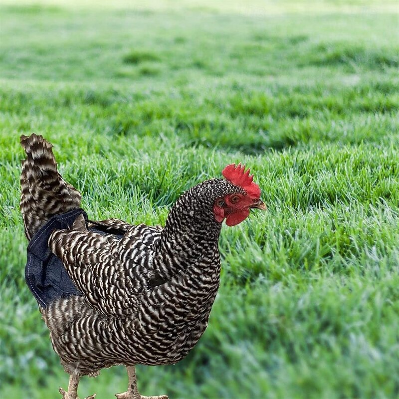 Chicken Saddles,Hen Saddle Sweater Clothes,Beautiful Wing Protector,Birds Protector for Back and Sides, Poultry Accessories for Hens, Blue3