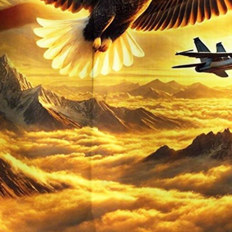 Independence Day Men's American US Flag Eagle Patriotic Shirt Summer Shirt Button Up Shirt Short Sleeve Fashion Casual Holiday Summer Spring Turndown 3D Print Collared Shirts Front One Pocket Dark2