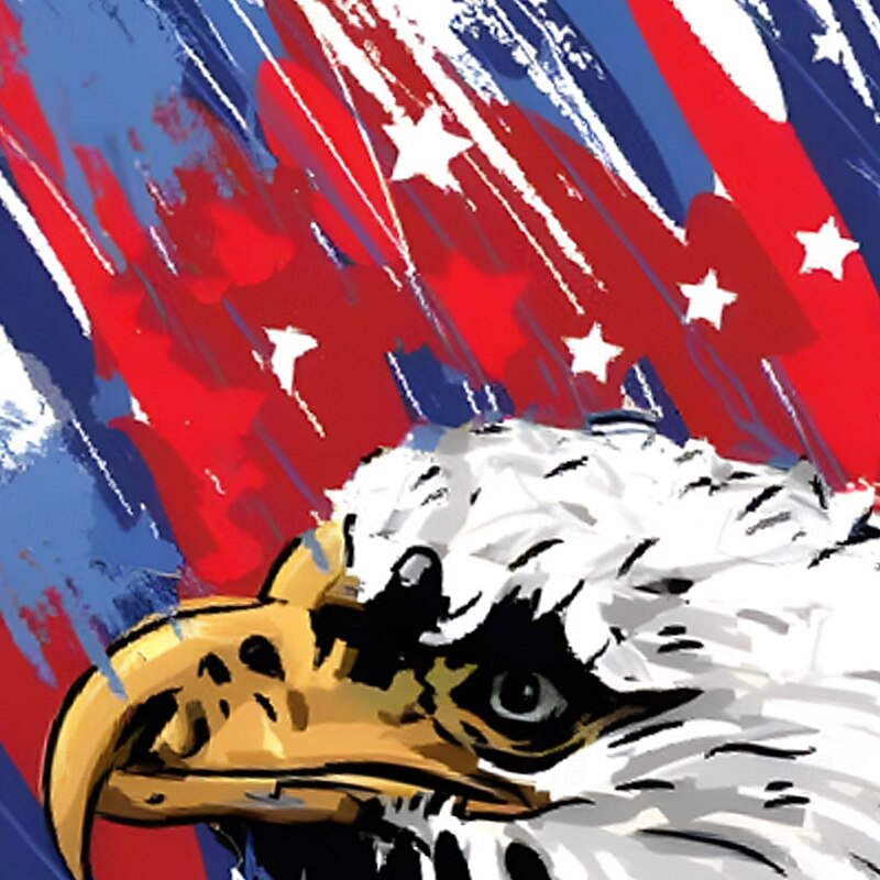 Independence Day Men's Patriotic USA Flag Lined Shorts 2 in 1 Board Shorts Swim Trunks Mid Waist Holiday Side Pockets With Compression Liner Elastic Drawstring Waist Designer Clothing Apparel2