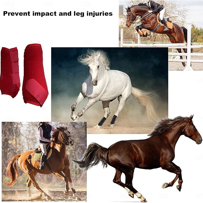 Memory Foam Stable Wraps for Horses Complete Horse Leg Support  Enhanced Comfort & Protection Tekno-Dri Lining Easy Maintenance4