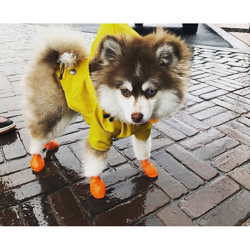 Dog Raincoat Waterproof Rain Poncho with Hoodie Pet Rain Jacket with Leash Hole for Small Medium and Large Dogs3