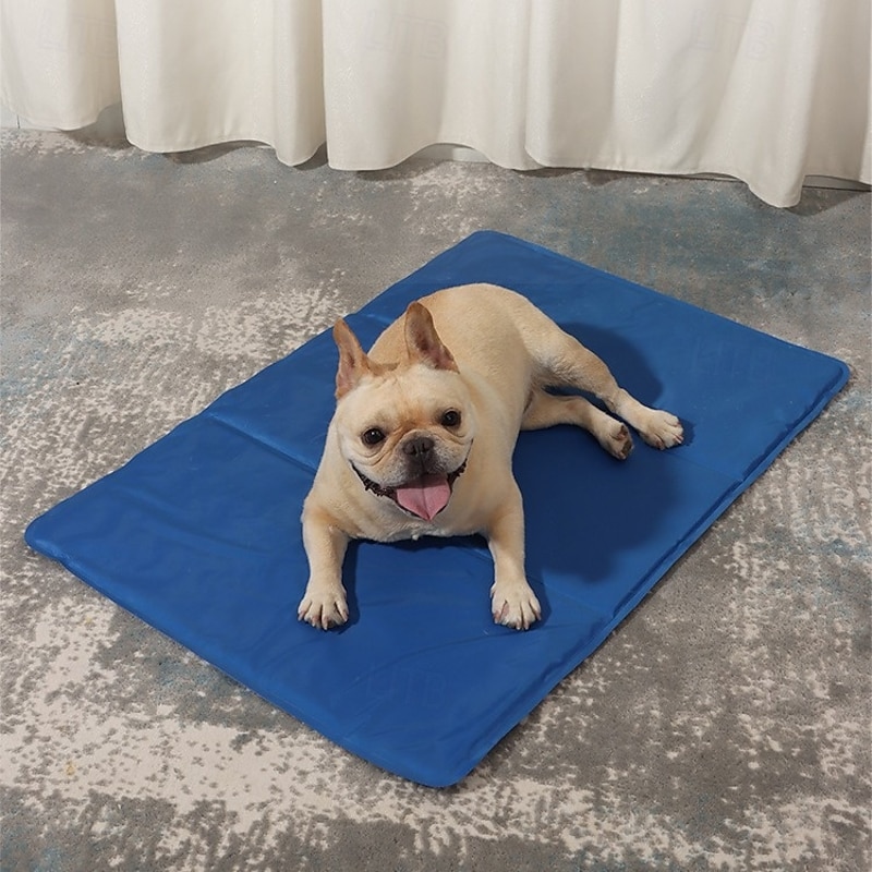 Dog Cat Dog Costume Fashion Party Soft Washable Comfortable Outdoor Casual Daily Cat Dog