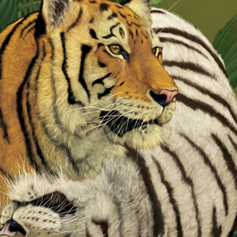 Tiger Ying Yang by Vincent Hie Men's Animal Tiger Swim Trunks Swim Shorts Board Shorts Retro Vintage Mesh Lining Elastic Drawstring Waist Designer Shorts Limited Artist Edition2