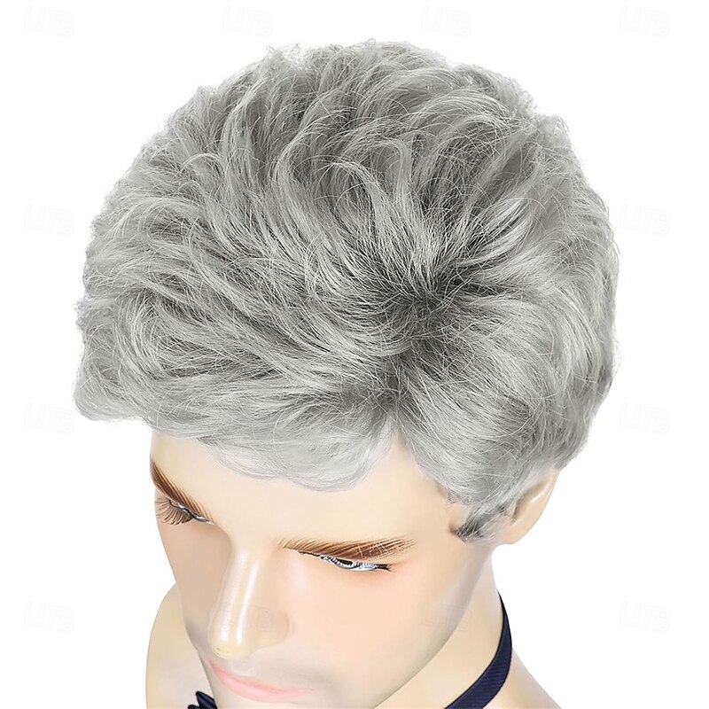 Men's Wig Short Silver Grey Wig Men Natural Layered Synthetic Hair Wigs for Man Male Guy Daily Halloween4