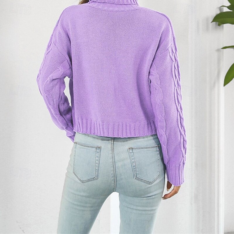 Women's Pullover Casual Solid Color Chunky Turtleneck Knitted Long Sleeve Regular Tops Knit Daily Holiday Going out Blue Purple Fall Winter4